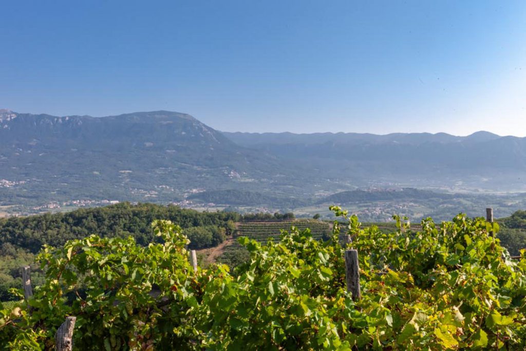 La valle del Vipacco verso nord